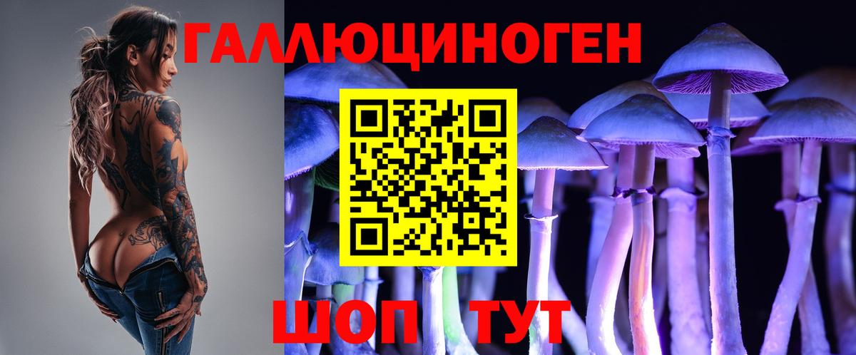 Костомукша  Псилоцибиновые грибы Psilocybe  Вход с VPN 